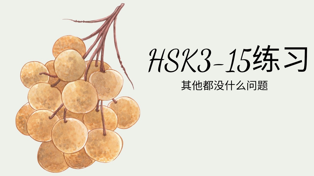 (2.0) HSK3-15练习: 其他都没什么问题/Những câu khác đều không có vấn đề gì/ GT tiêu chuẩn HSK3