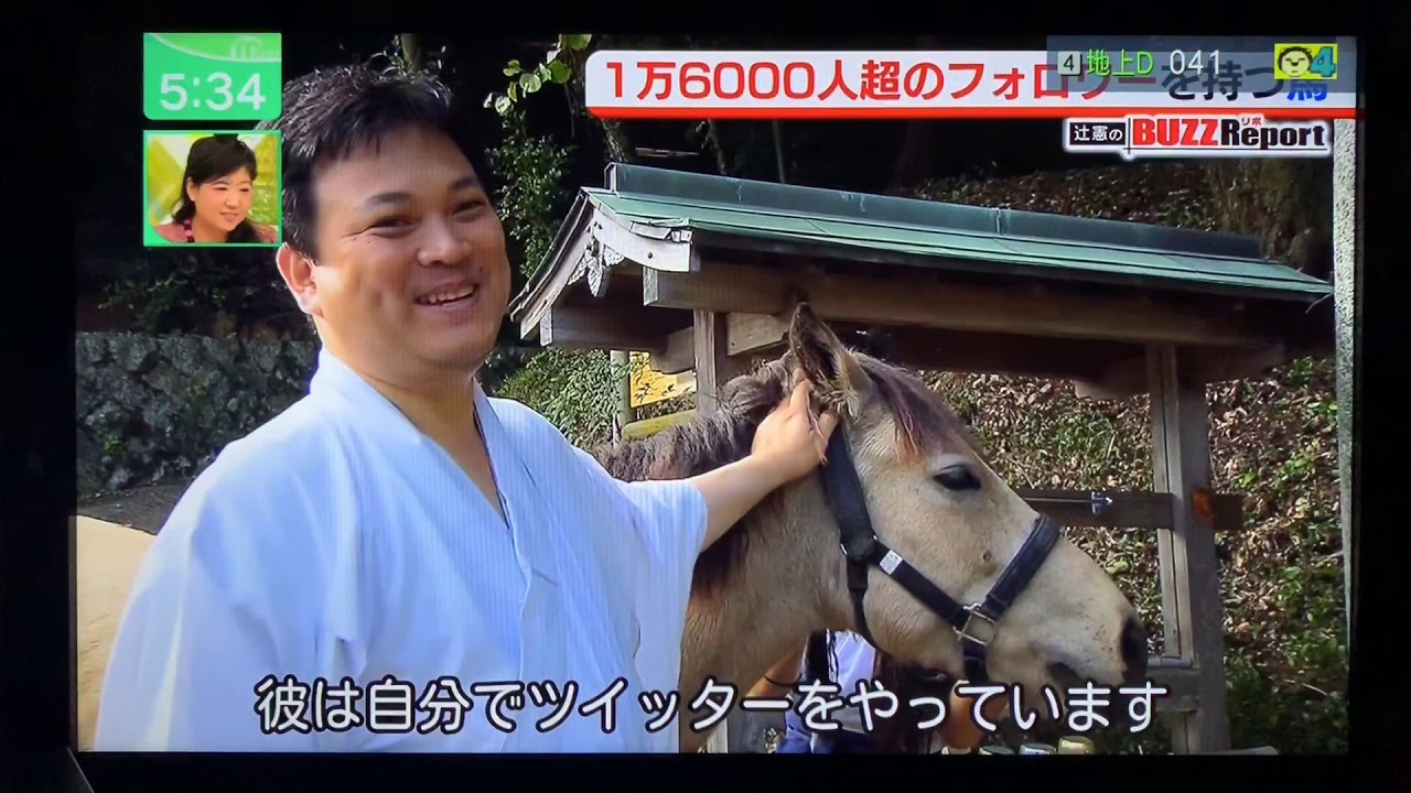 吉川八幡神社 御神馬いづめ