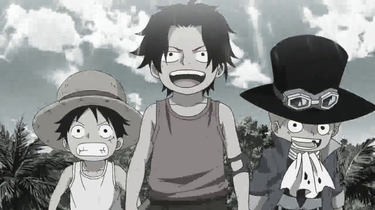 One Piece ASL Promise Of Lifetime