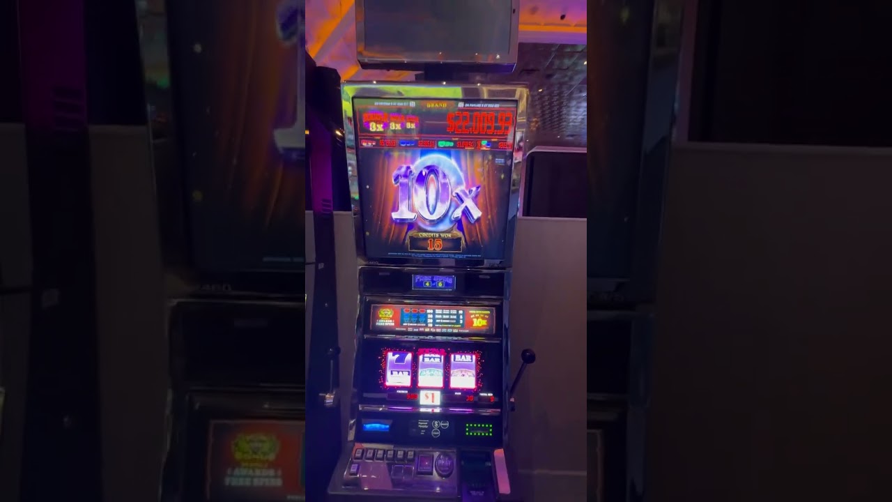 Back 2 back Bonus on the Zoltar! 🤑 