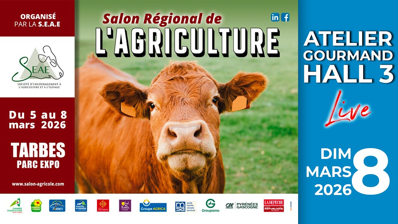Atelier Gourmand Hall 3 Live - Dimanche 8 Mars 2026