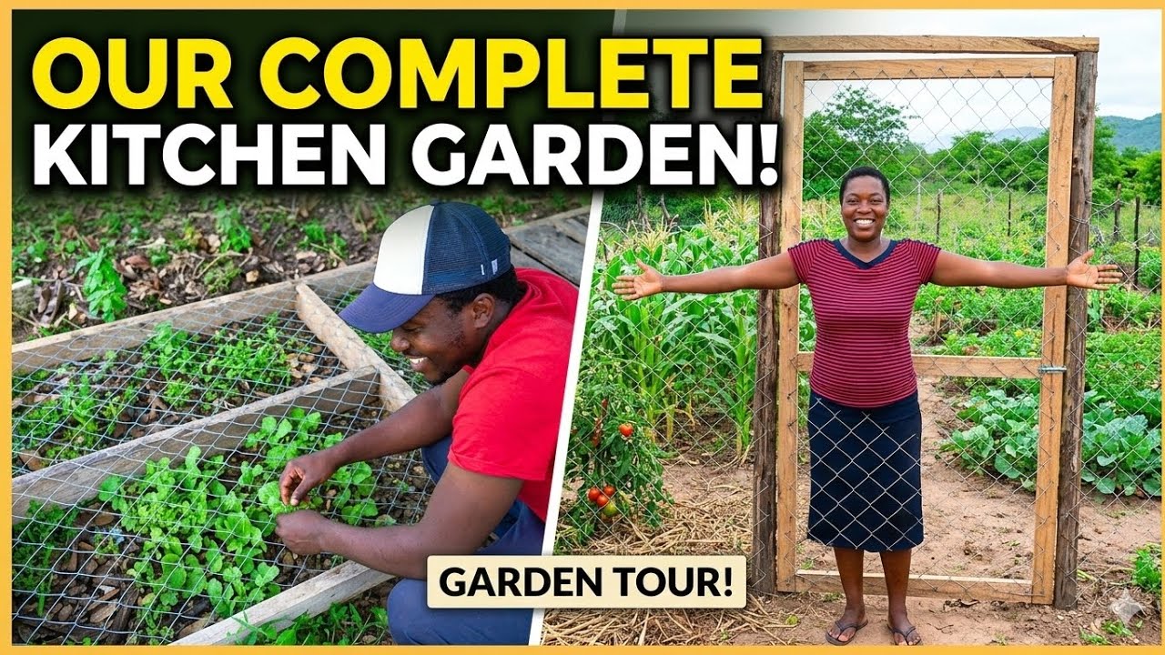 Unbelievable  Garden Gate Rebuilding in Rural Zimbabwe 