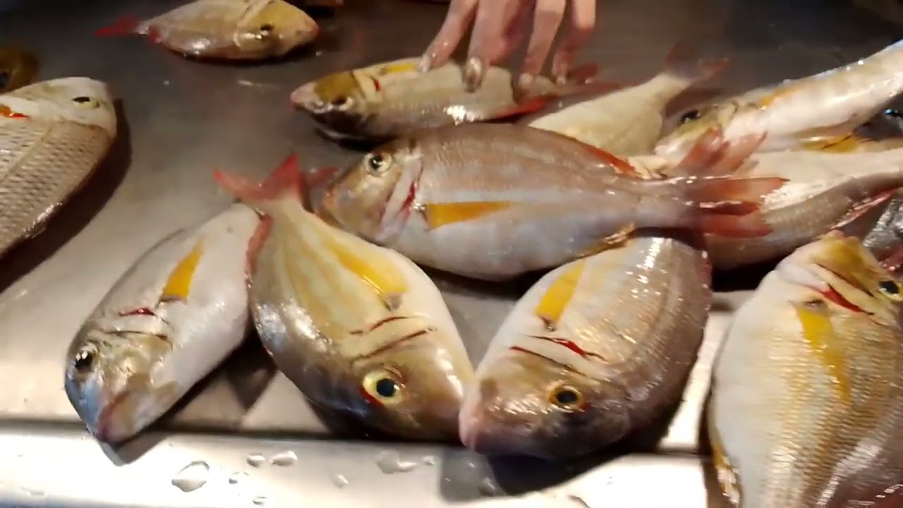 Mga Preskong Isda sa atong Public Market sa Maasin City Southern Leyte
