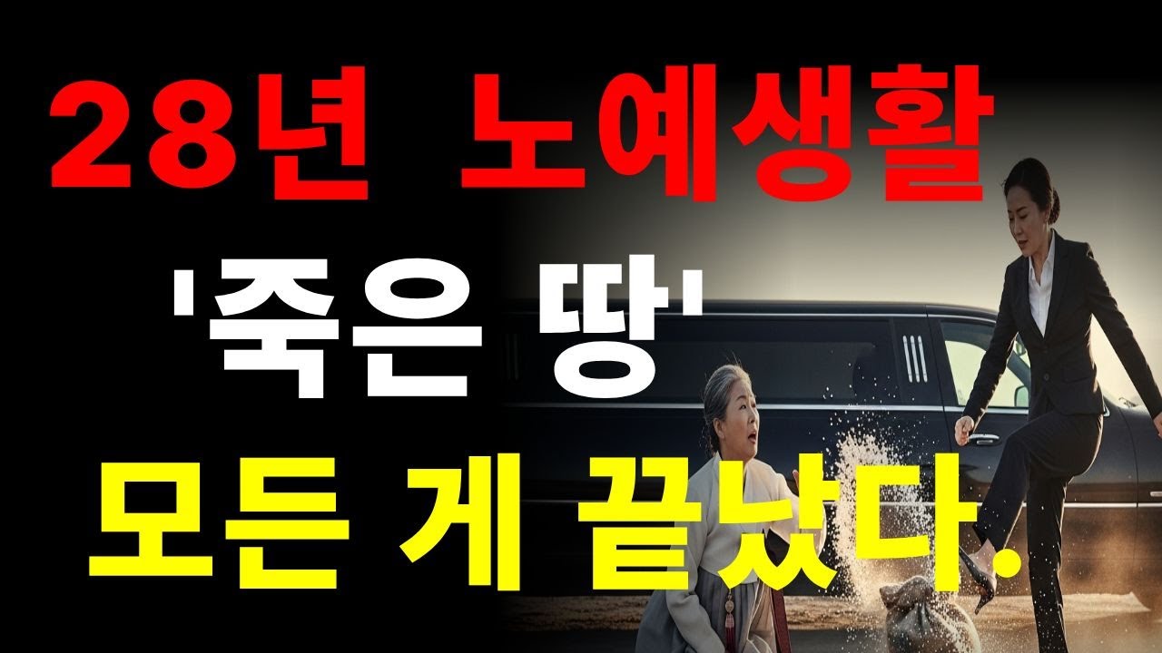 시니어 사연,시니어 공감,시니어 건강 ,등 사용하는 채널.
