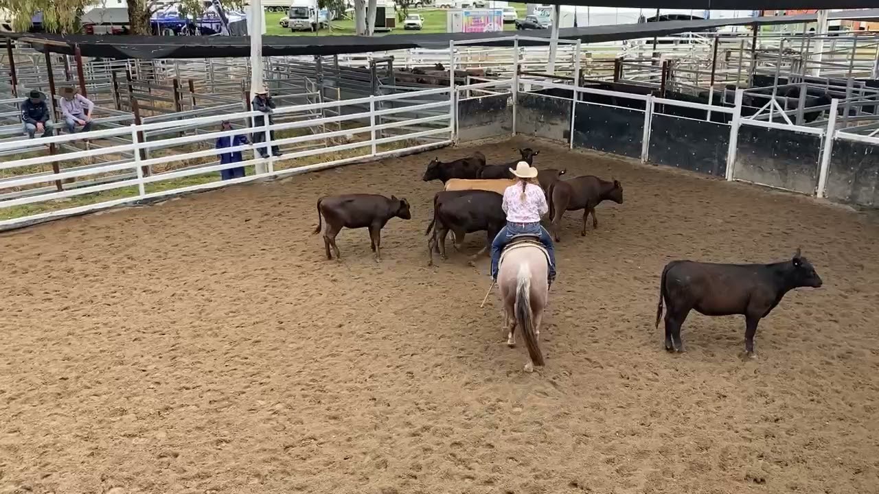 MC One Stylish Cat & Kimberley Sammon, 2021 Warwick Gold Cup Rd1 - 90