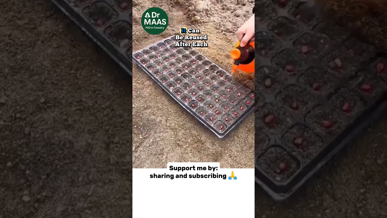 Best Seedling Tray for Home Gardening | Grow Vegetables & Flowers Easily #garden #farming #uk #india