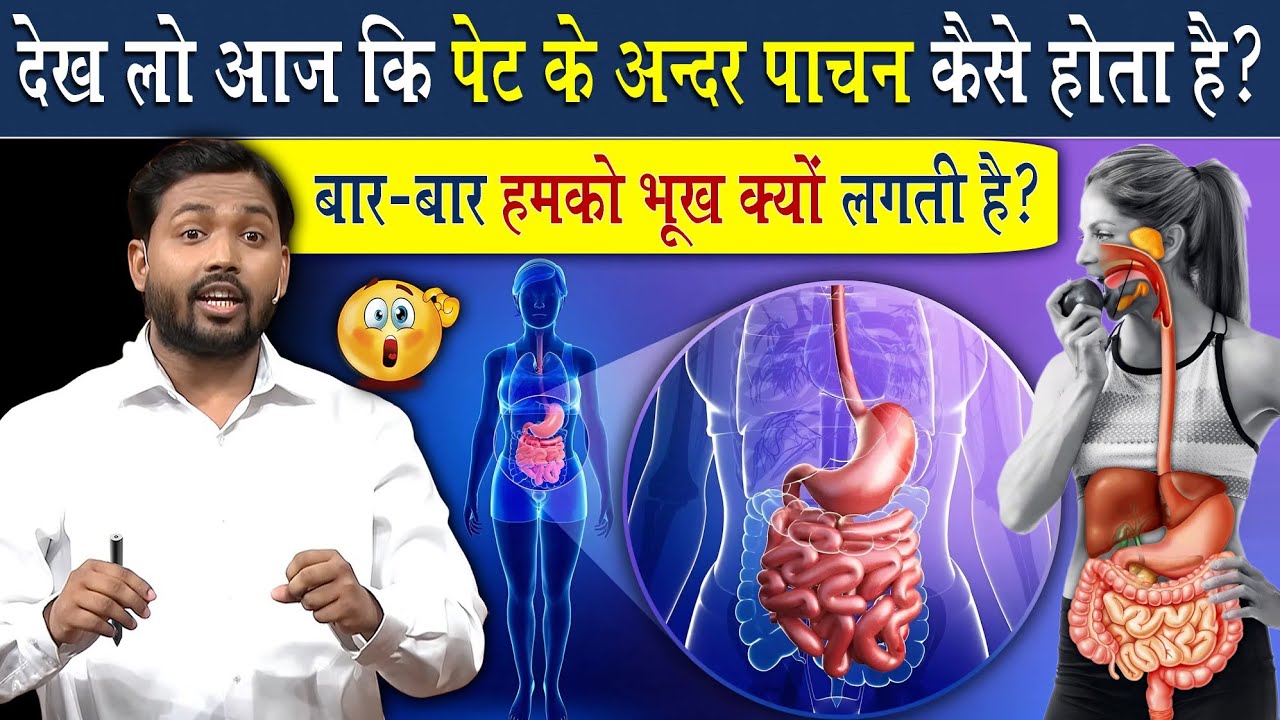 खाना खाने के बाद खाना कैसे पचता है? | How food is digested after eating