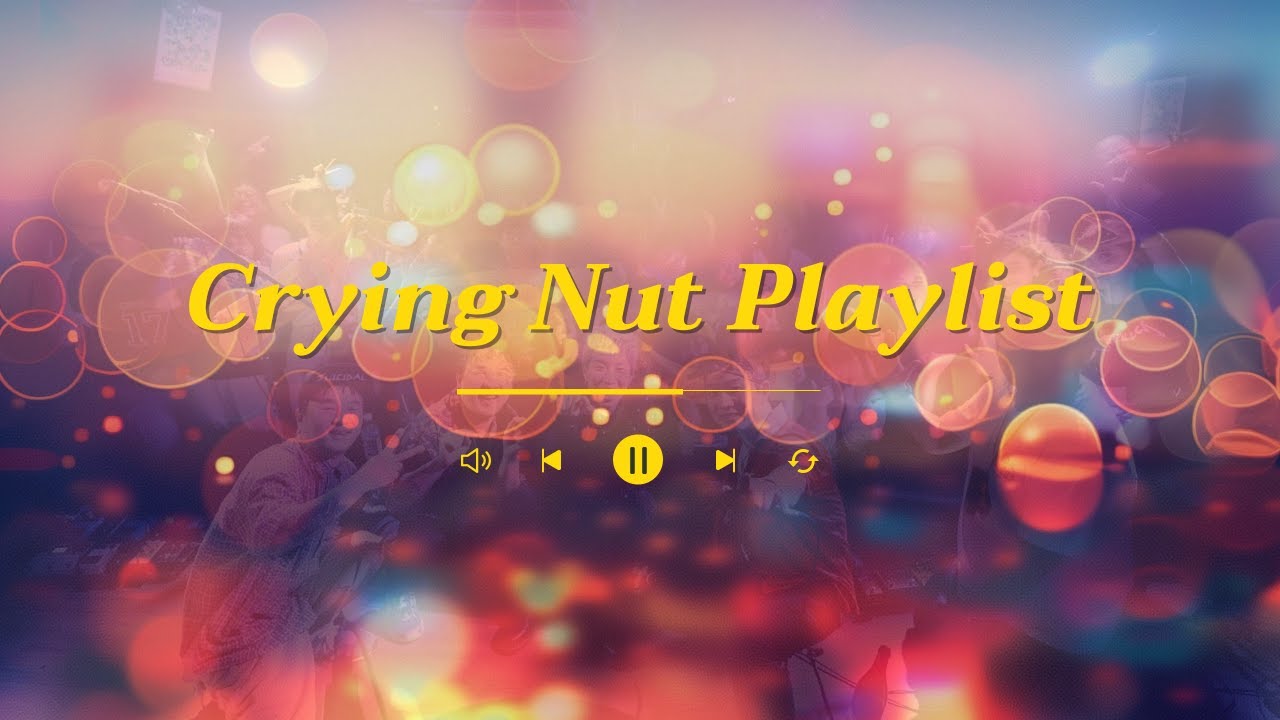 [Playlist] 떨어지는 눈물을 쫓아서 날아가는 새들을 따라서