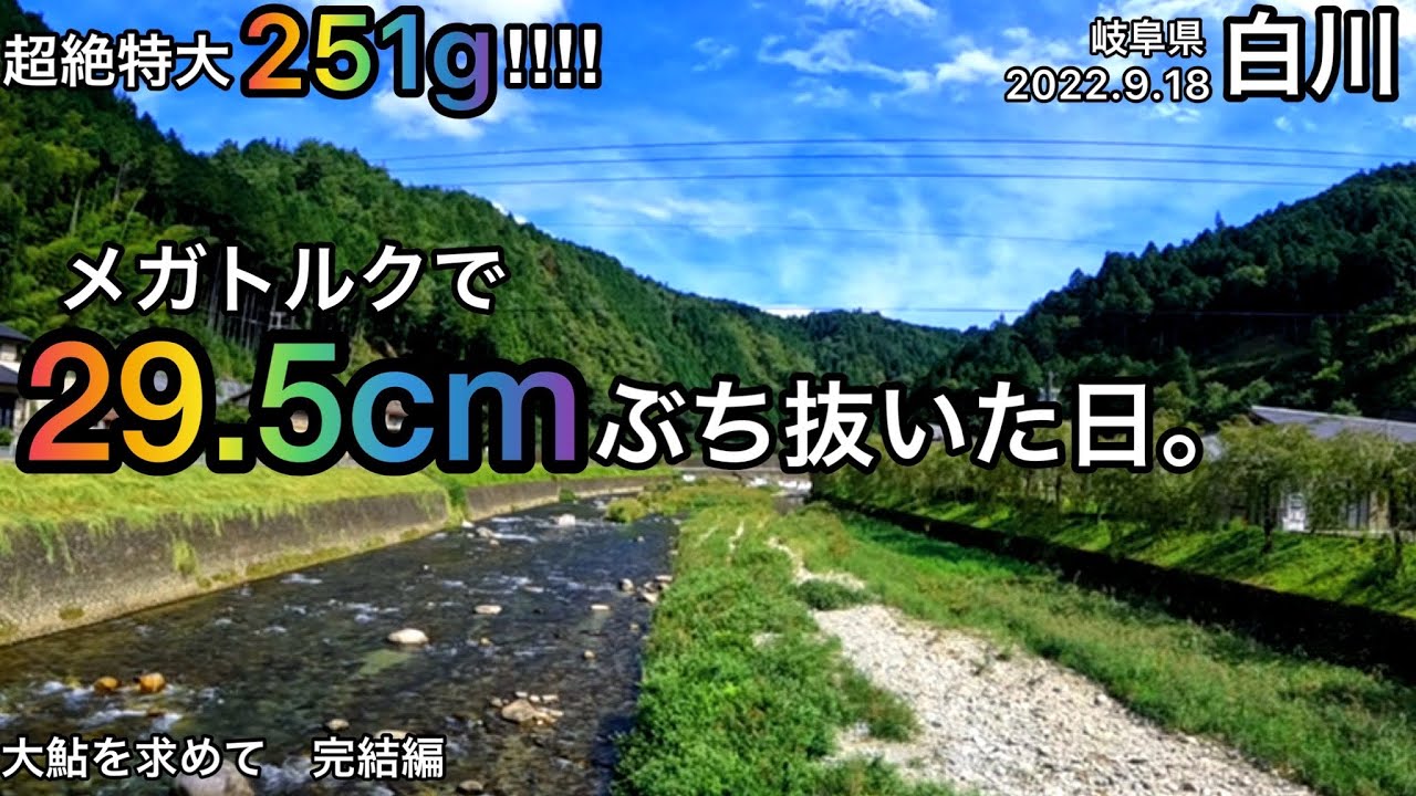 【鮎釣り】大鮎を求めて！完結編｜白川（岐阜県）｜2022.9.18｜今後は「尺鮎を求めて」の予定【友釣り】