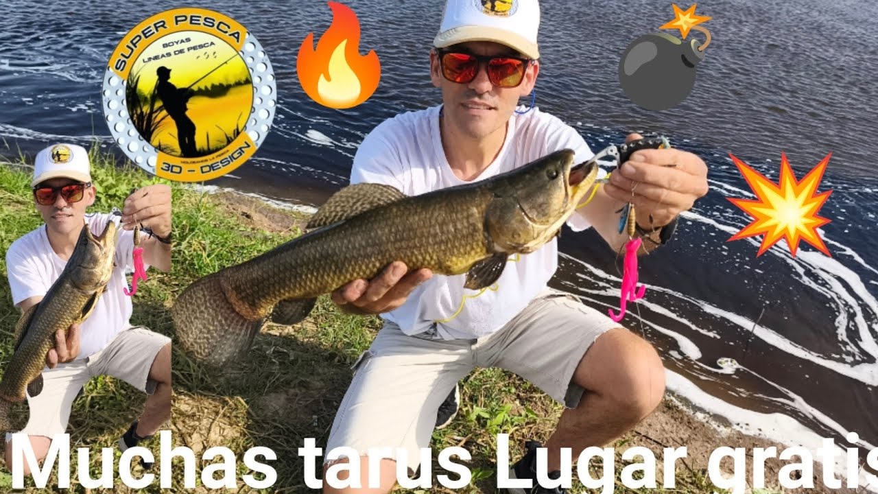 Lindo charco con taru y gratis 
