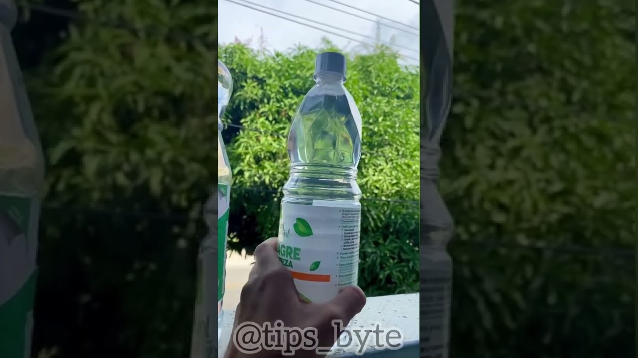Diferencia de Vinagre Blanco y Vinagre de Limpieza.  👌