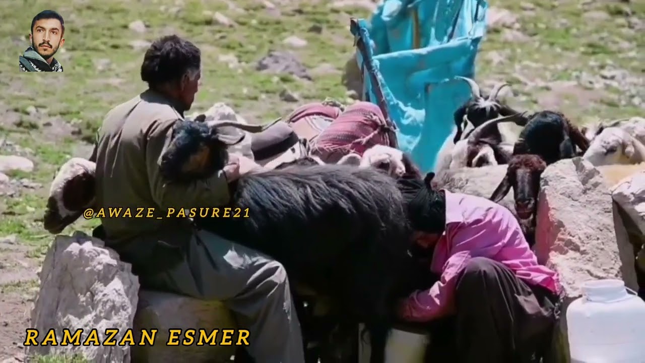 Dengbêj Şakiro Özel Kayıt 🌾 SEBRÊ arşîv Ramazan Esmer
