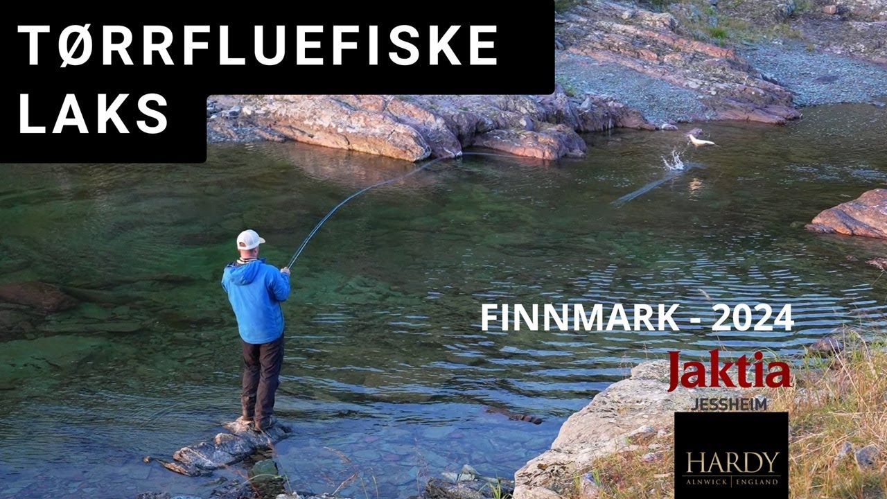 Laksefiske i Finnmark - T&oslash;rrfluefiske etter laks i en liten og glassklar elv