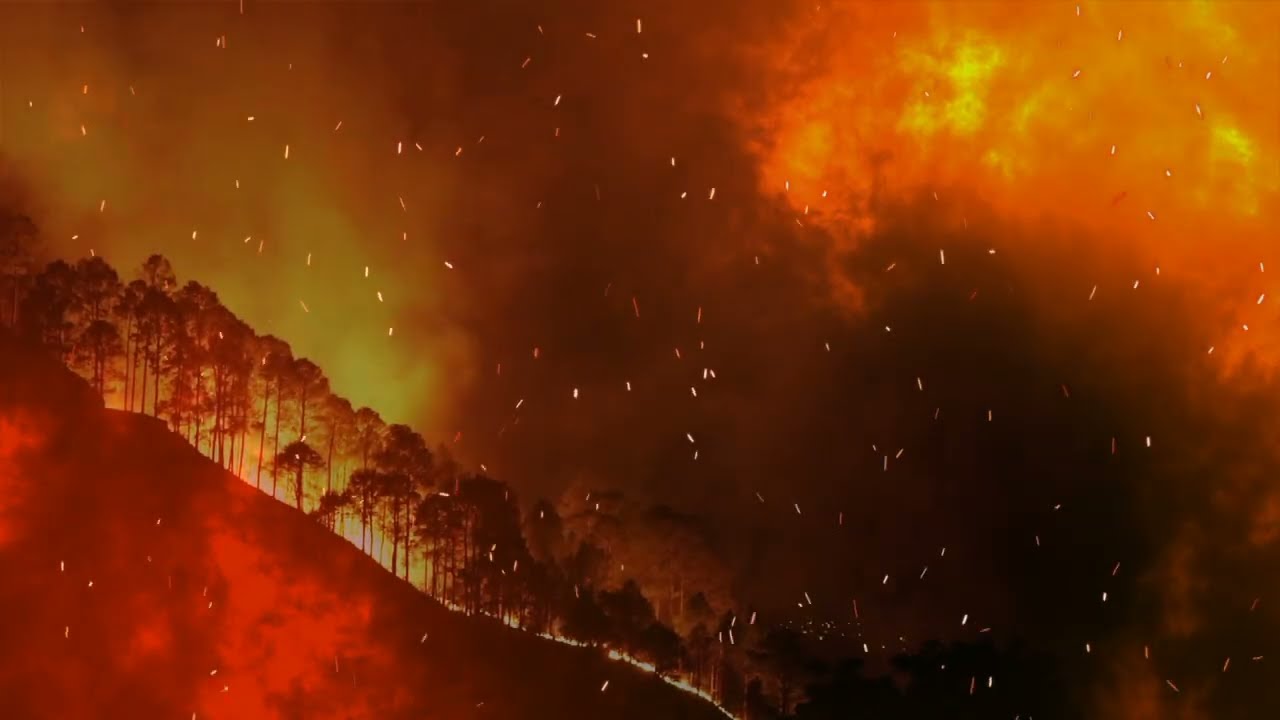 Jeff Knighton - Return