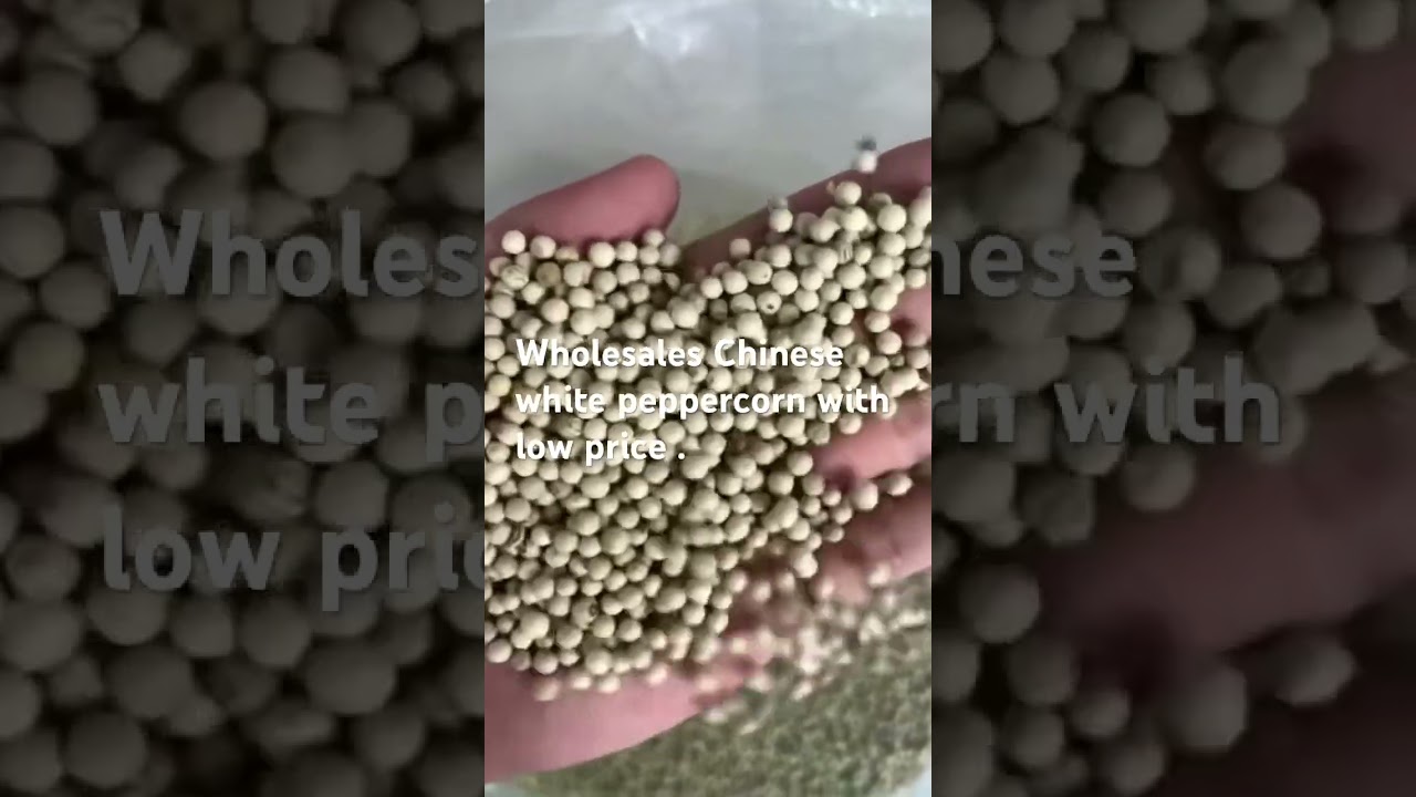 Wholesales Chinese white peppercorn with low price . #spices  #whitepeppercorn #whitepepper