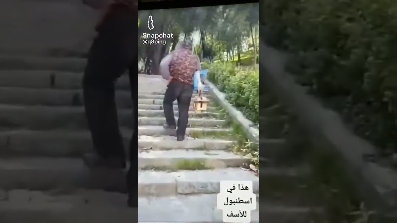 عملية نصب اسكافي