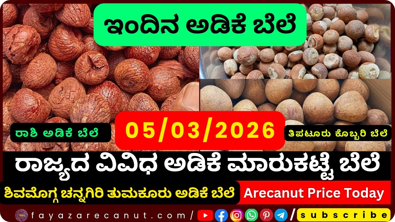 Arecanut Price Today – 05 March 2026 | Shivamogga Adike Market | Tiptur Copra Tender