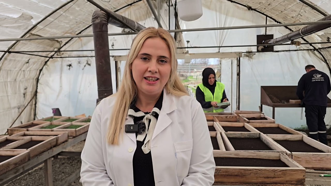 Safranbolu Belediyesi 90 bin çiçeğin tohumunu toprakla buluşturdu