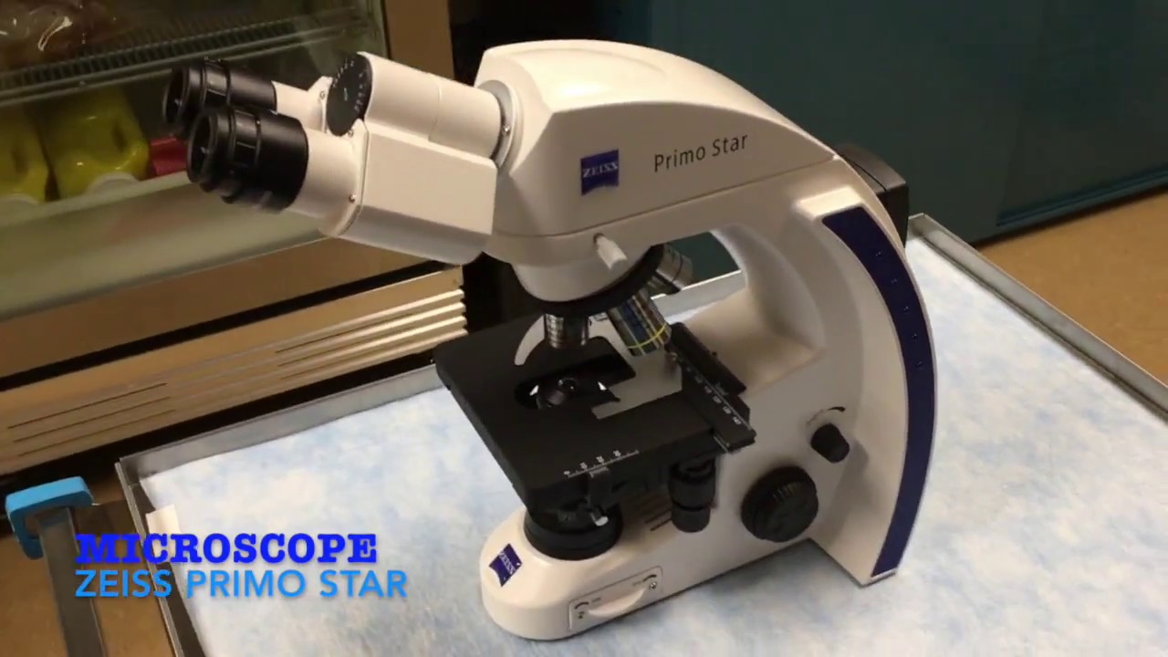 Microscopie 1 : Les parties du microscope