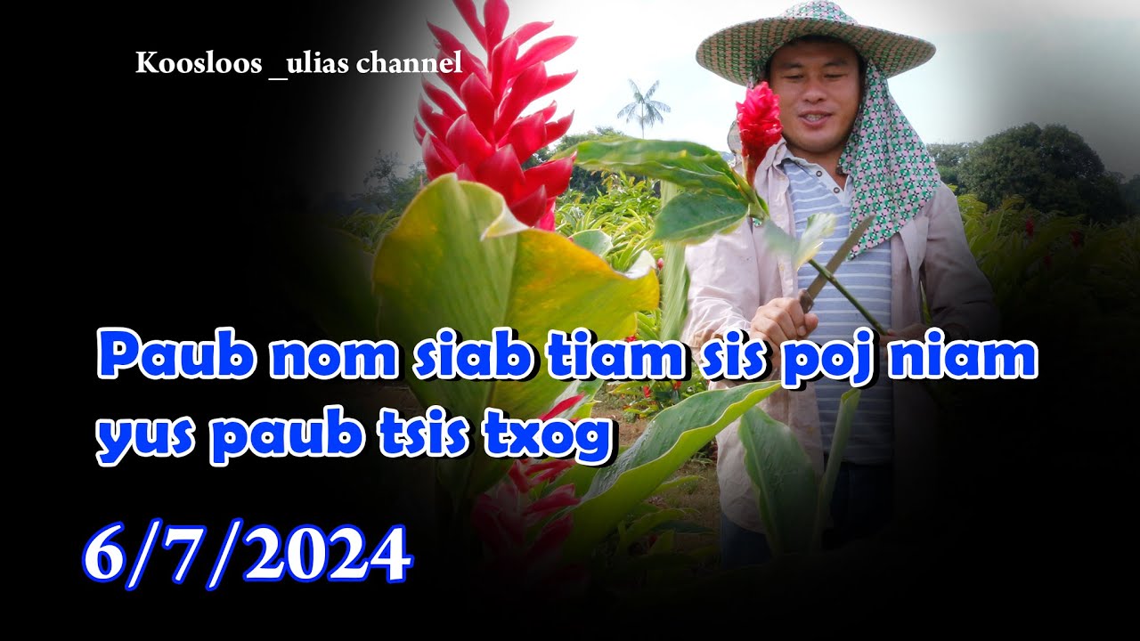 Paub nom siab tiam sis poj niam yus paub tsis txog 6/7/2024