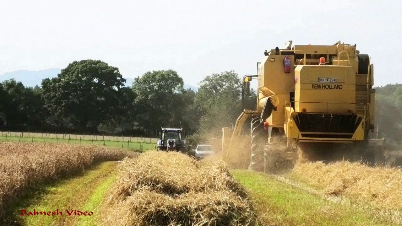 Combine Harvesting with New Holland TX63