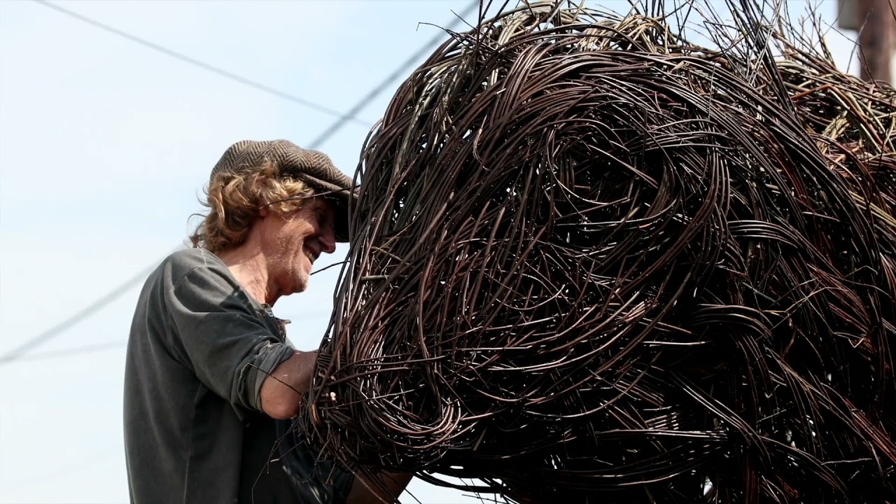 Royal Highland Showcase - Dumfries & Galloway - Belted Willow Sculpture