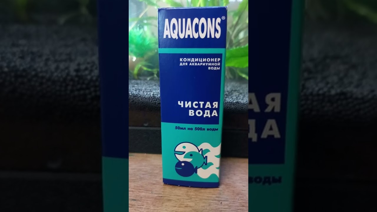 Что делать , если вода в аквариуме мутная? Вот ответ🙃