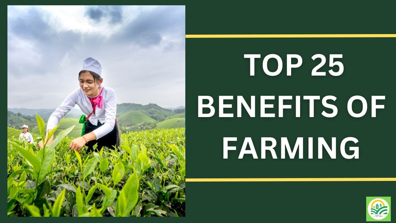 25 IMPORTANT BENEFITS OF FARMING | 25 BENEFITS OF AGRICULTURE | 25 ADVANTAGES OF AGRICULTURE