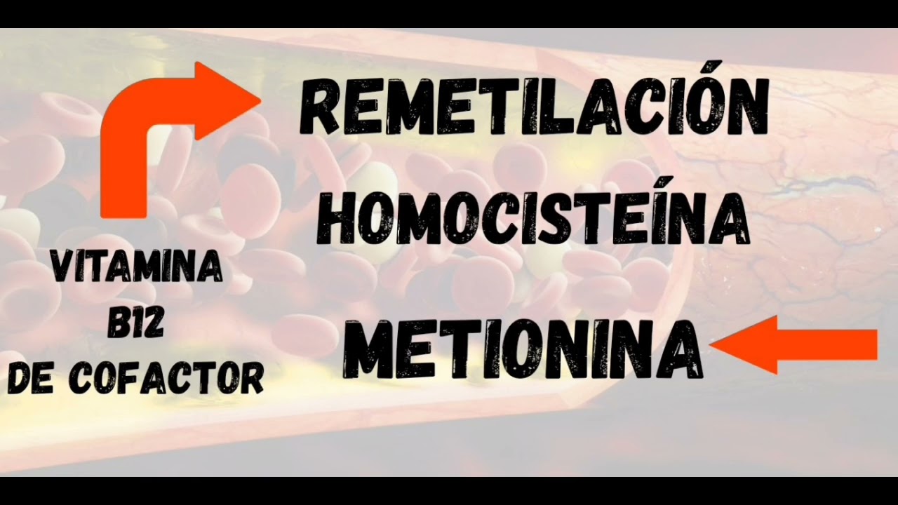 VENTAJAS Y FALLOS DE LOS ACIDIFICANTES PROFESIONALES PARA USO ORNITOL&Oacute;GICO.