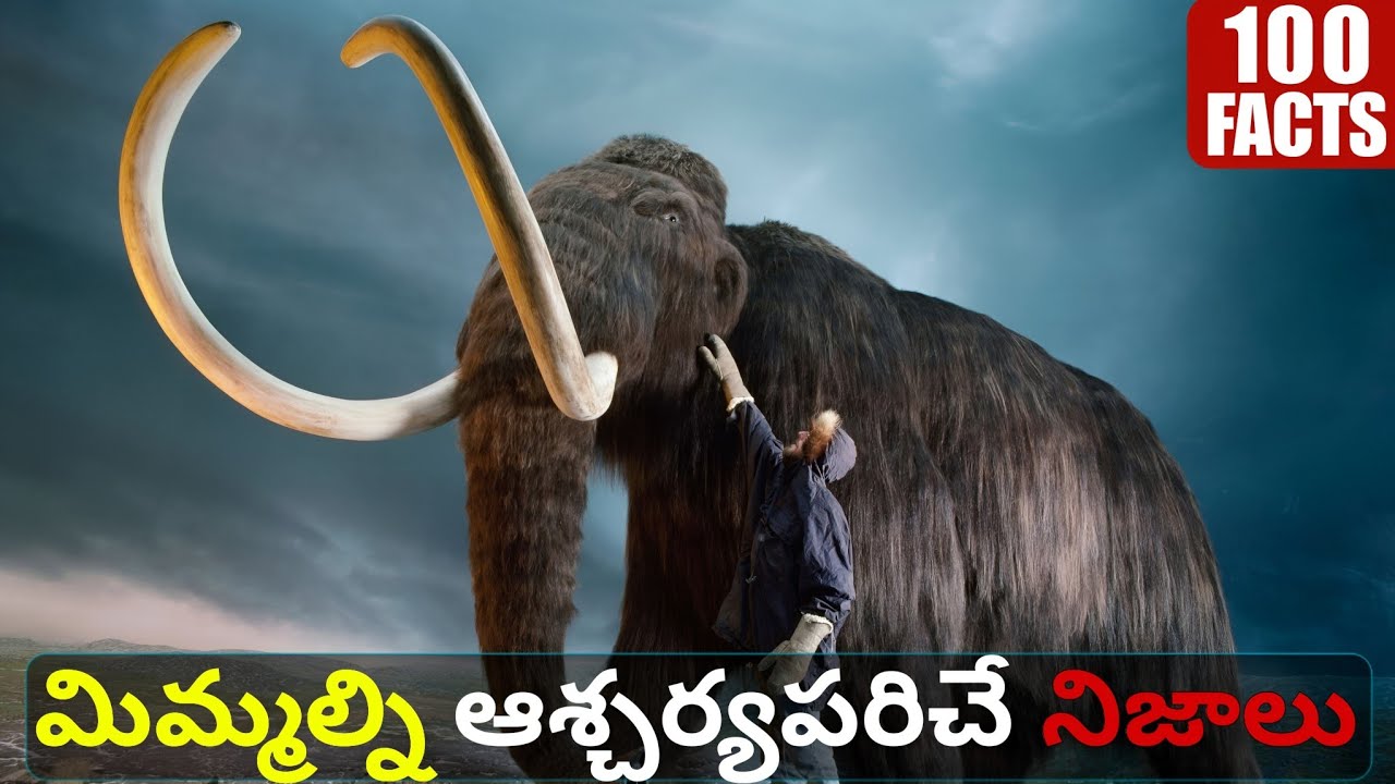 100 Facts In Telugu |  Interesting Facts In Telugu New | Episode 3 | Facts Forever