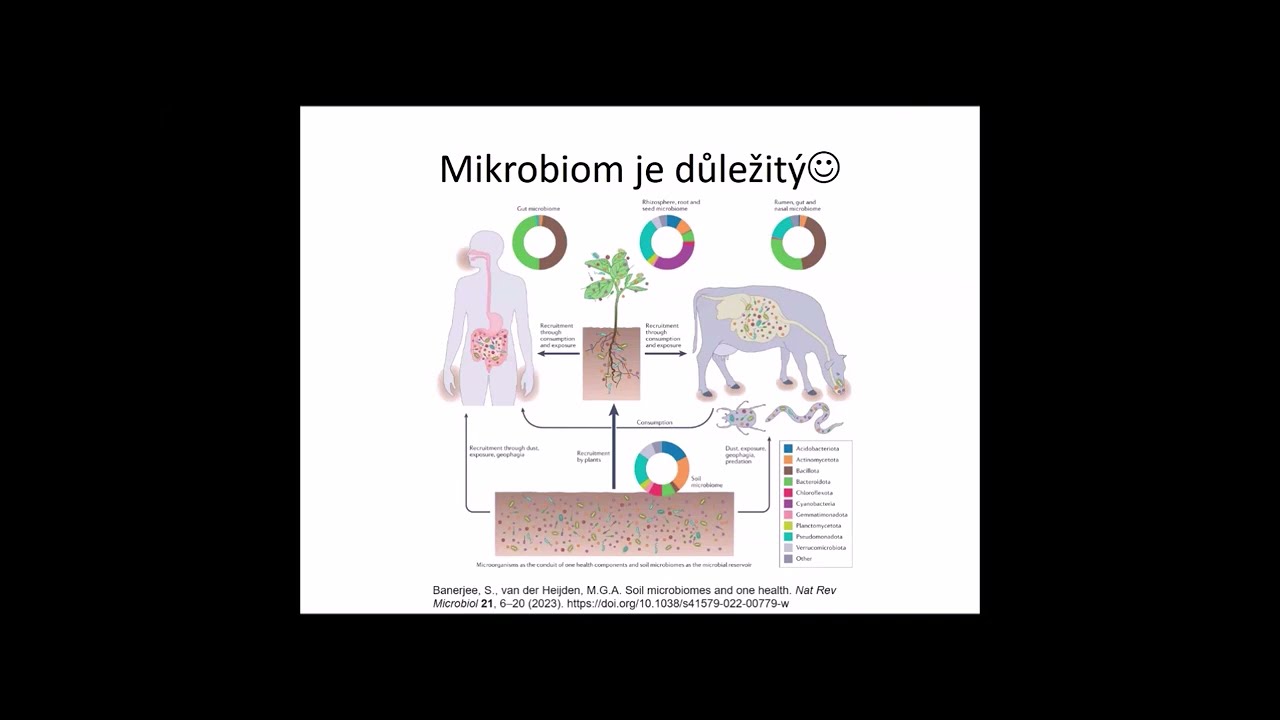 Výzkum mikrobiomu – jak postupovat a co je nového