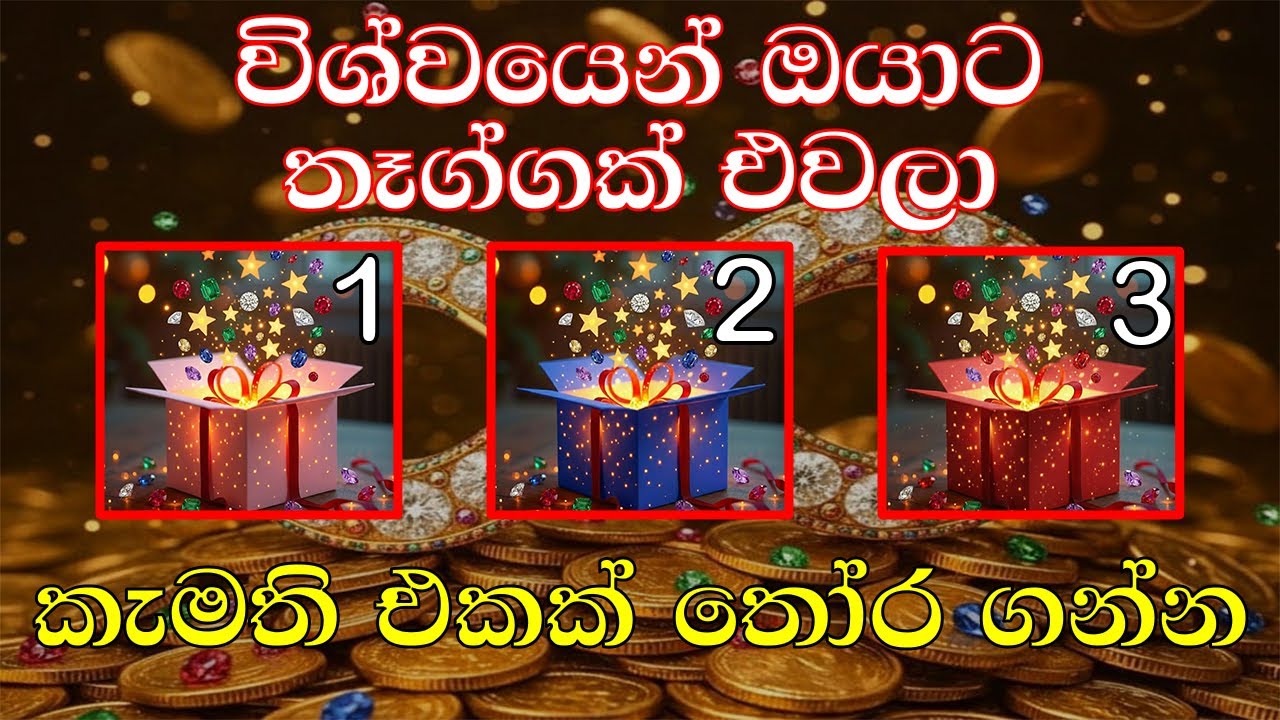 විශ්වයේ මේ තෑග්ගක ලබන ඔයා වාසනාවන්ත කෙනෙක් 💫🩷💯🍀/ Message from universe 💯💫🍀