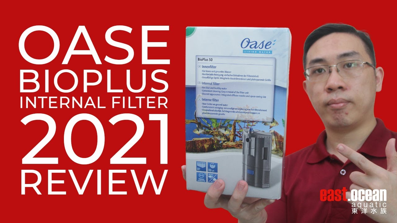 OASE Bioplus Internal Filter 2021 Review