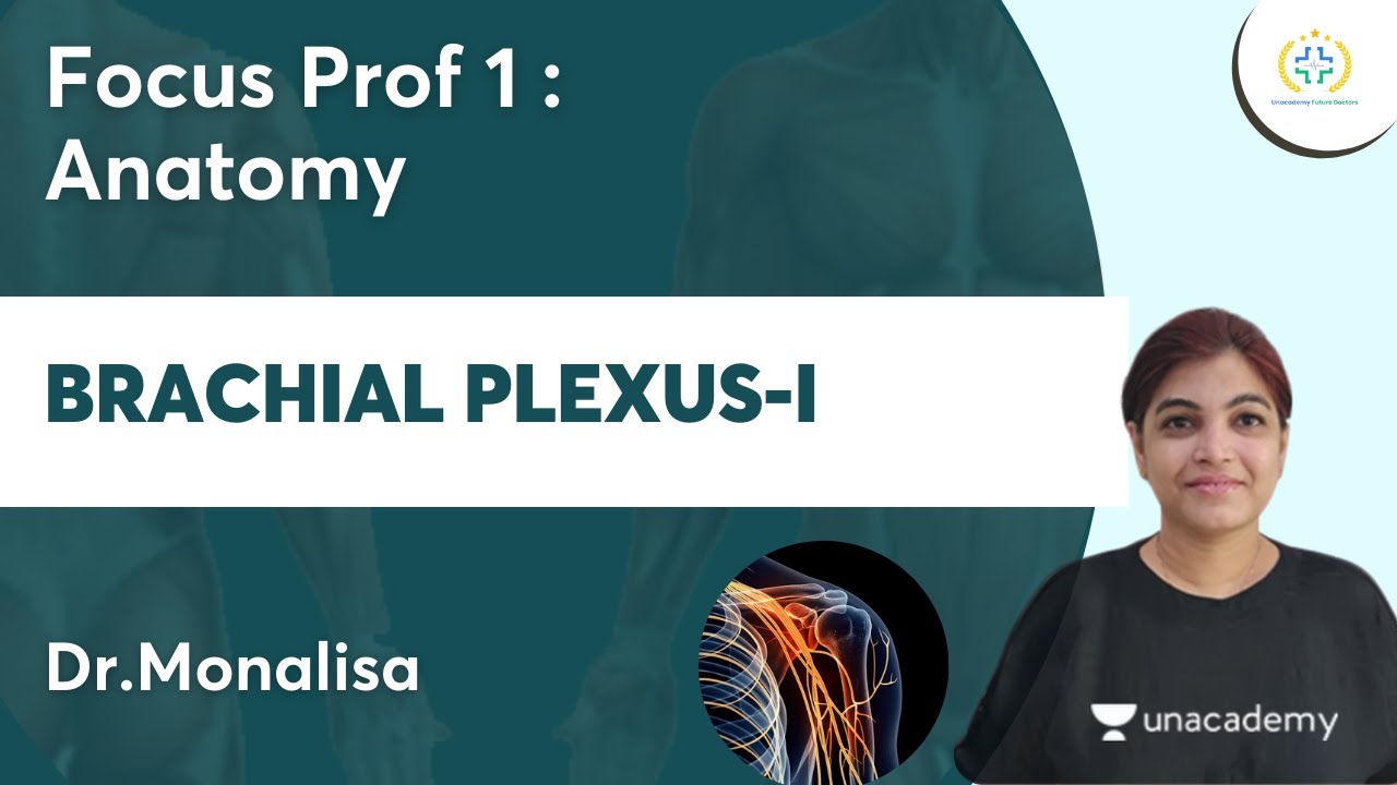 Brachial Plexus-I | Focus Prof 1 : Anatomy | Unacademy Future Doctors l Dr.Monalisa
