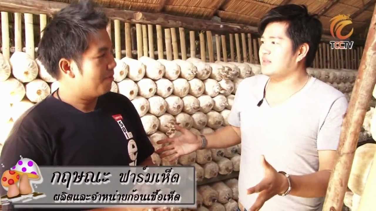 อร่อยร้อยลี้ กฤษณะ ฟาร์มเห็ด ตอนที่3