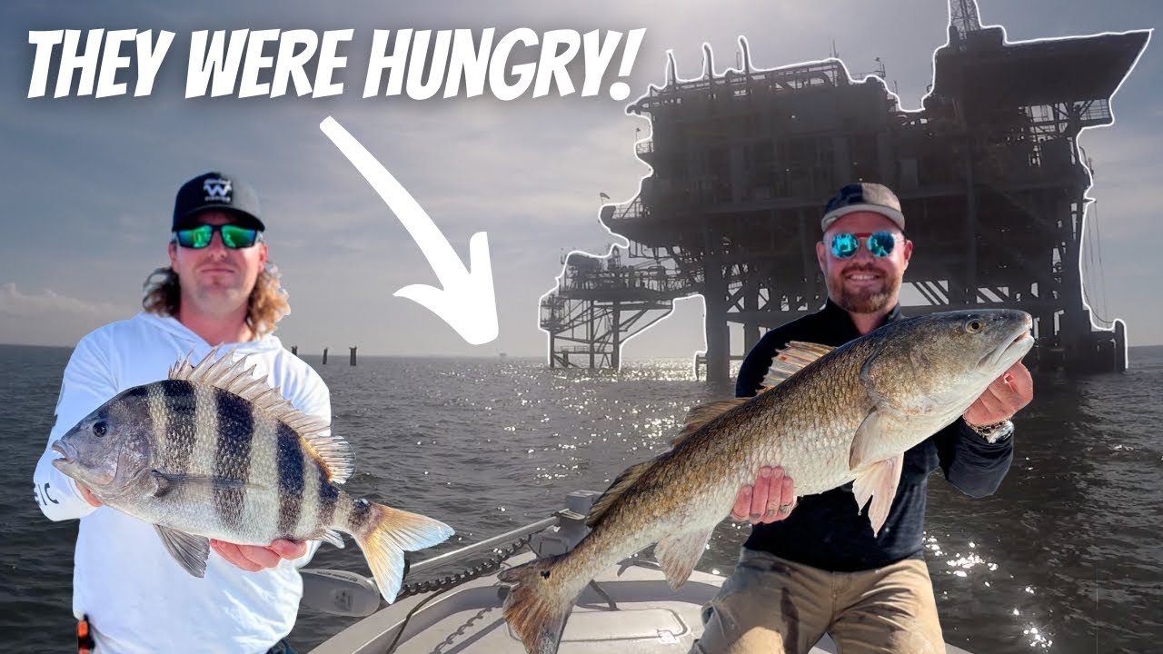 This GAS RIG Was Stacked With FISH! *Catch, Clean, & Cook* + Mullet Roe Taste Test!