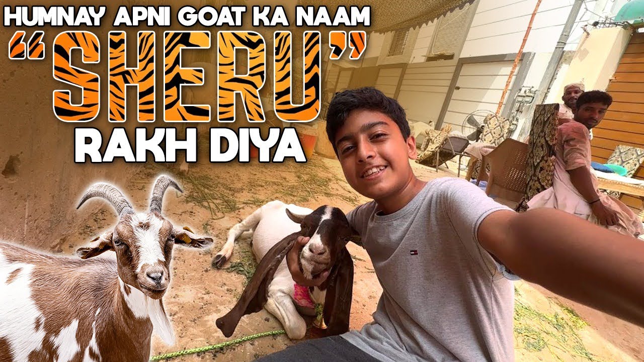 HUMNAY APNI GOAT KA NAAM “ SHERU “ RAKH DIYA!!