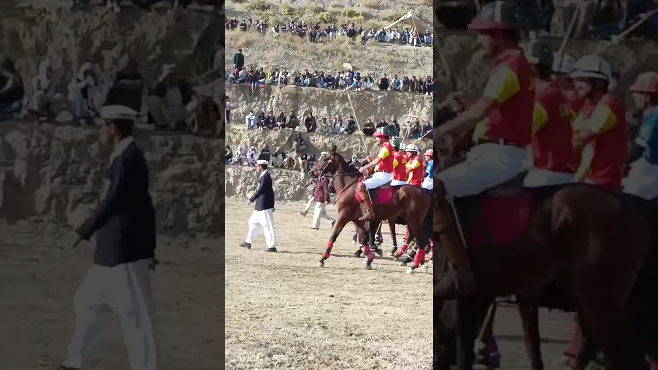 Polo in chitral#polo#poloinchitral#chitralpolo #horsesshow#horses #horsepower