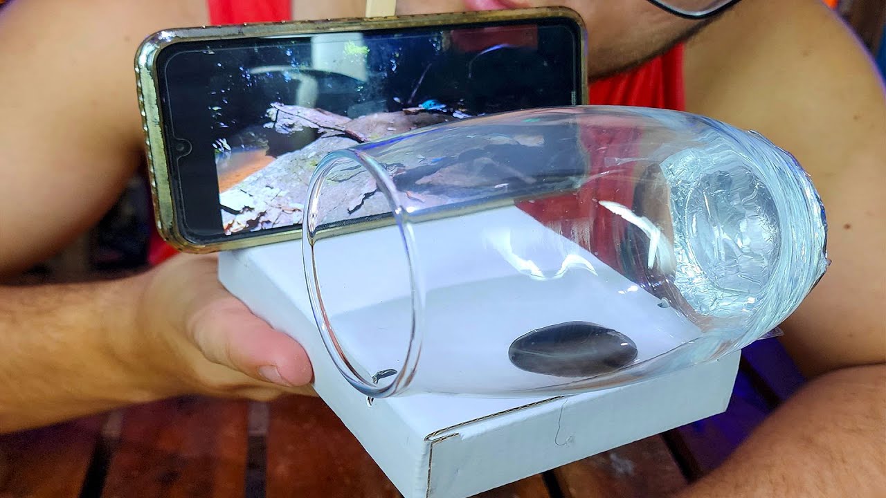 Transforme seu celular numa tela de cinema usando um copo de vidro!