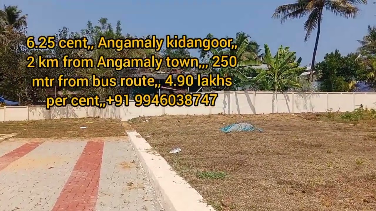 6.25 cent, Angamaly kidangoor,, 250 mtr from bus route,4.90 lakhs per cent# youth face 