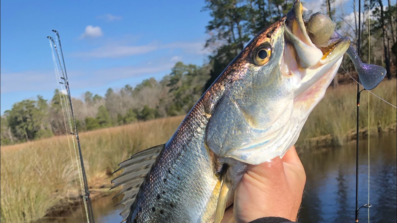 NC Wintertime Speckled Trout Fishing Jan 2020