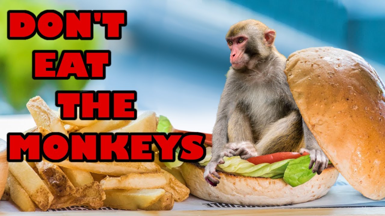 SPACE STATION 13: don't eat the monkeys