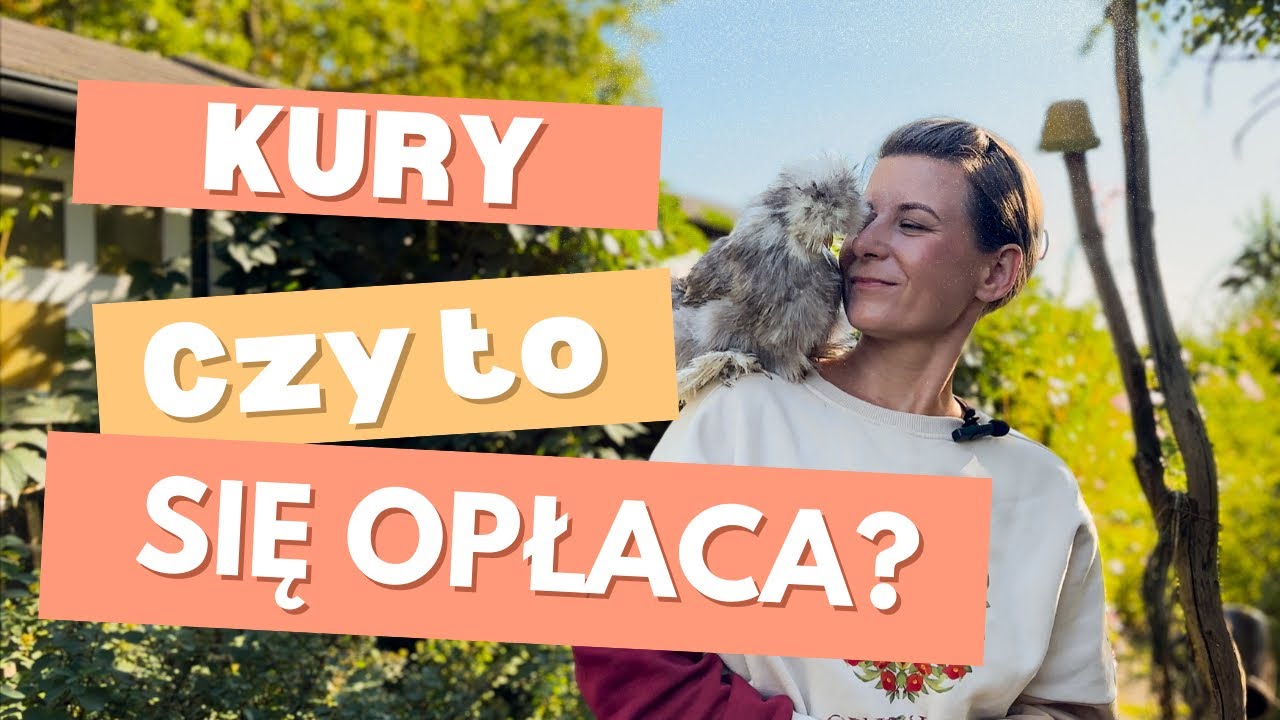 Hodowla kur: czy to się opłaca? Sprawdź ile możesz zarobić!