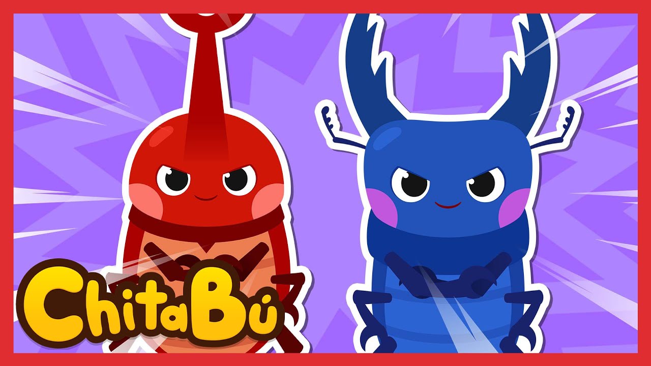Batallas de  Escarabajos | Canciones de Insectos y Animales | Canciones Infantiles | #ChitaBú