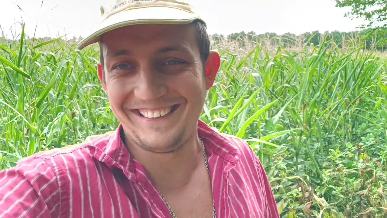 Сійте нормальне насіння, а не змітки