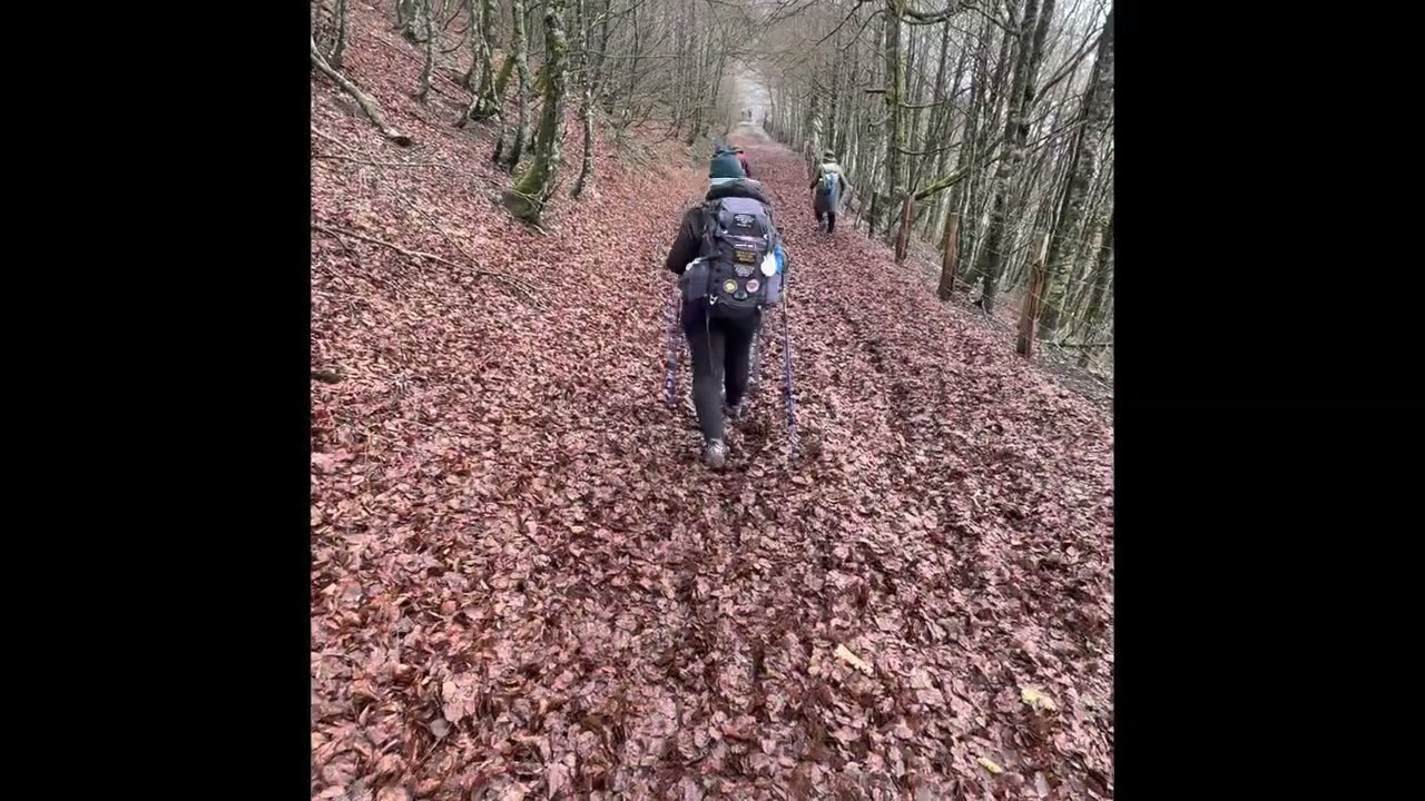 Day 2, Borda to Roncesvalles