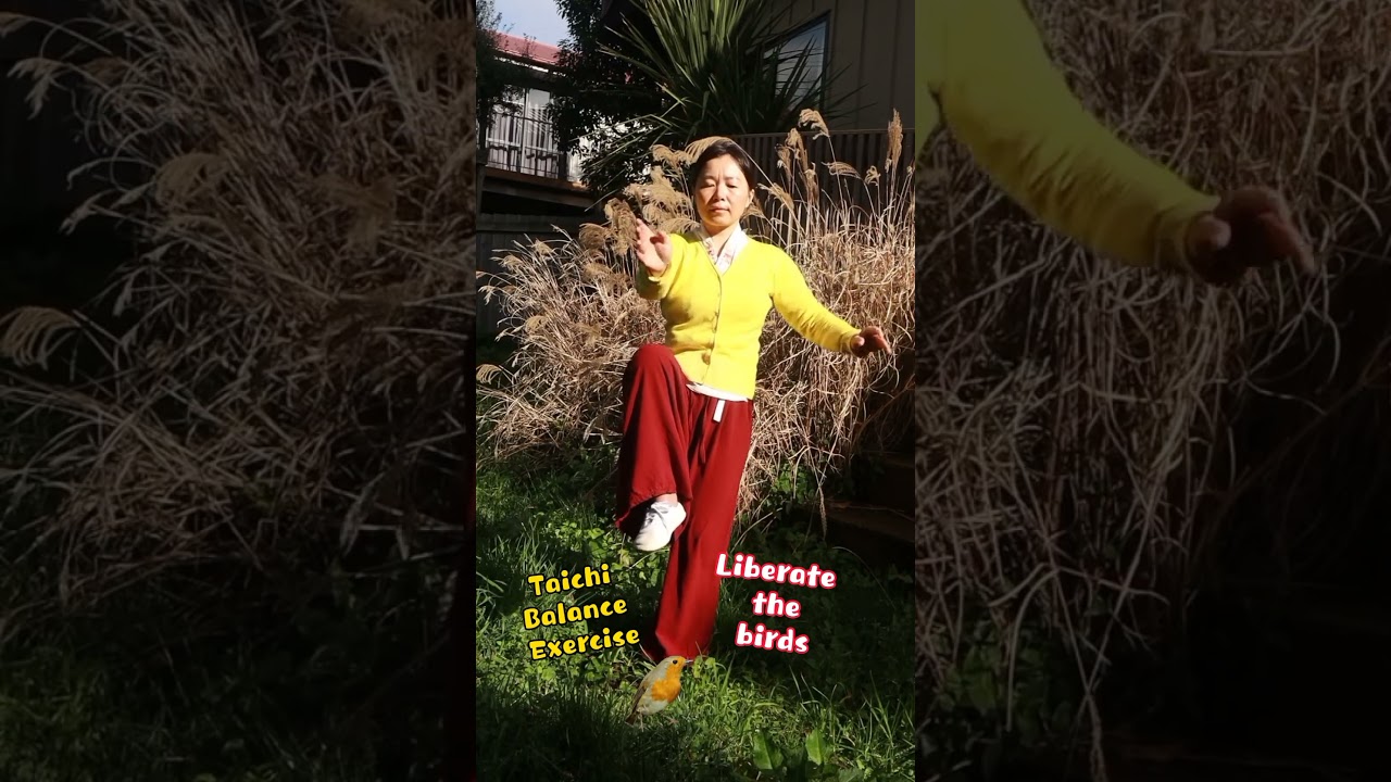 Taichi Balance Exercises~Liberate Bird~送鸟归林