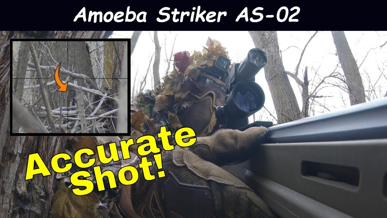 Amoeba AS-02 Striker Crazy Accurate | Airsoft Sniper #Shorts