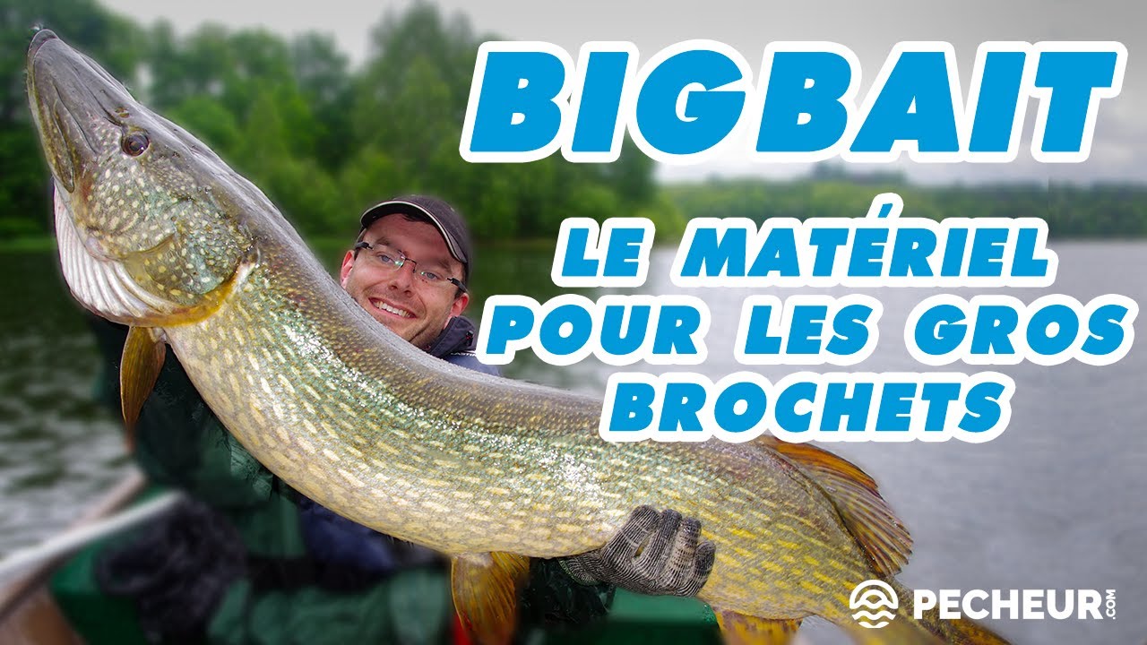 Le matériel pour le bigbait