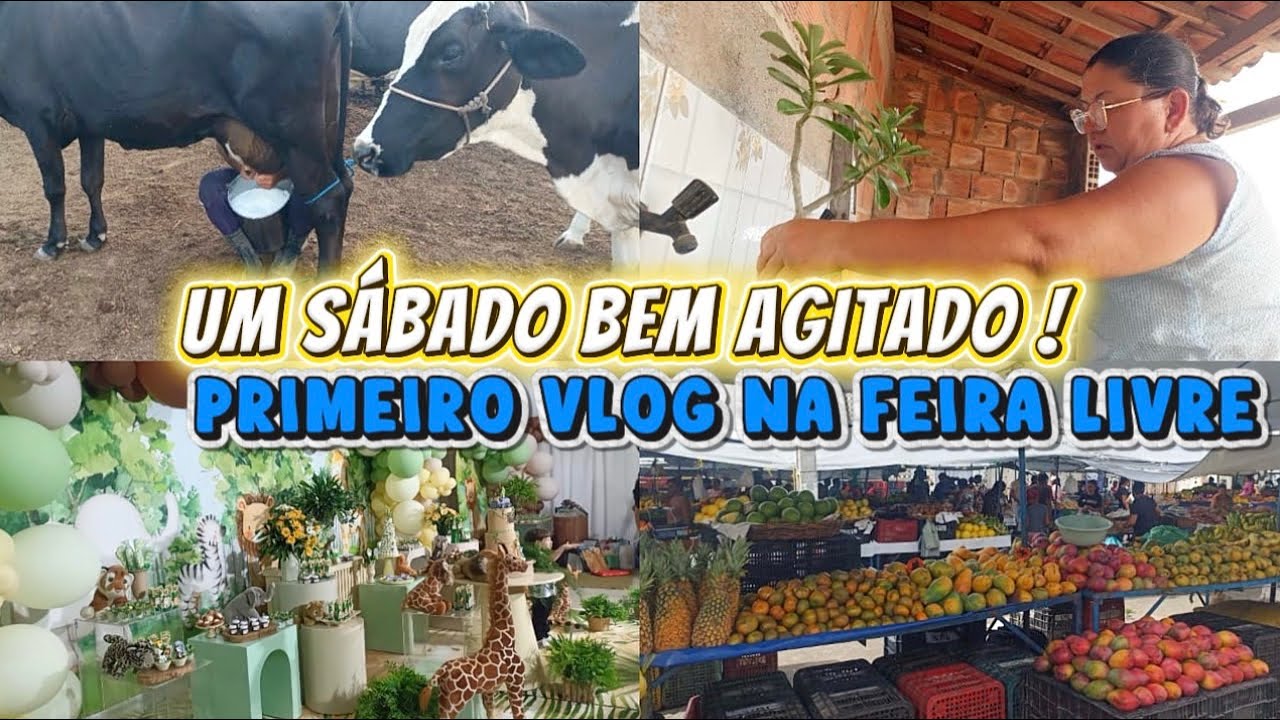 ROTINA DA MANHÃ + FEIRA LIVRE + CUIDANDO DAS ROSAS DO DESERTO + ANIVERSÁRIO 